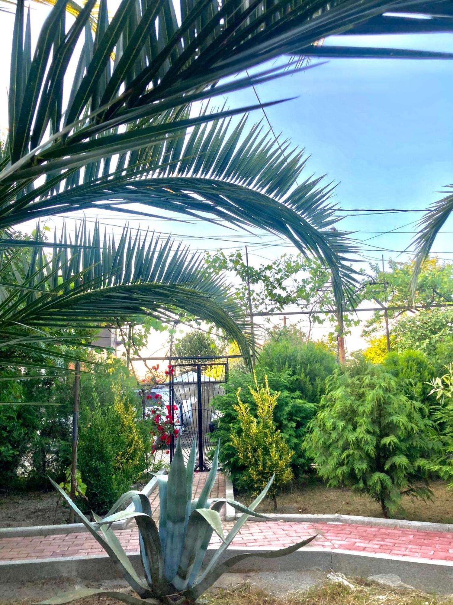 Lukas'S House Ξενοδοχείο Kobuleti Εξωτερικό φωτογραφία