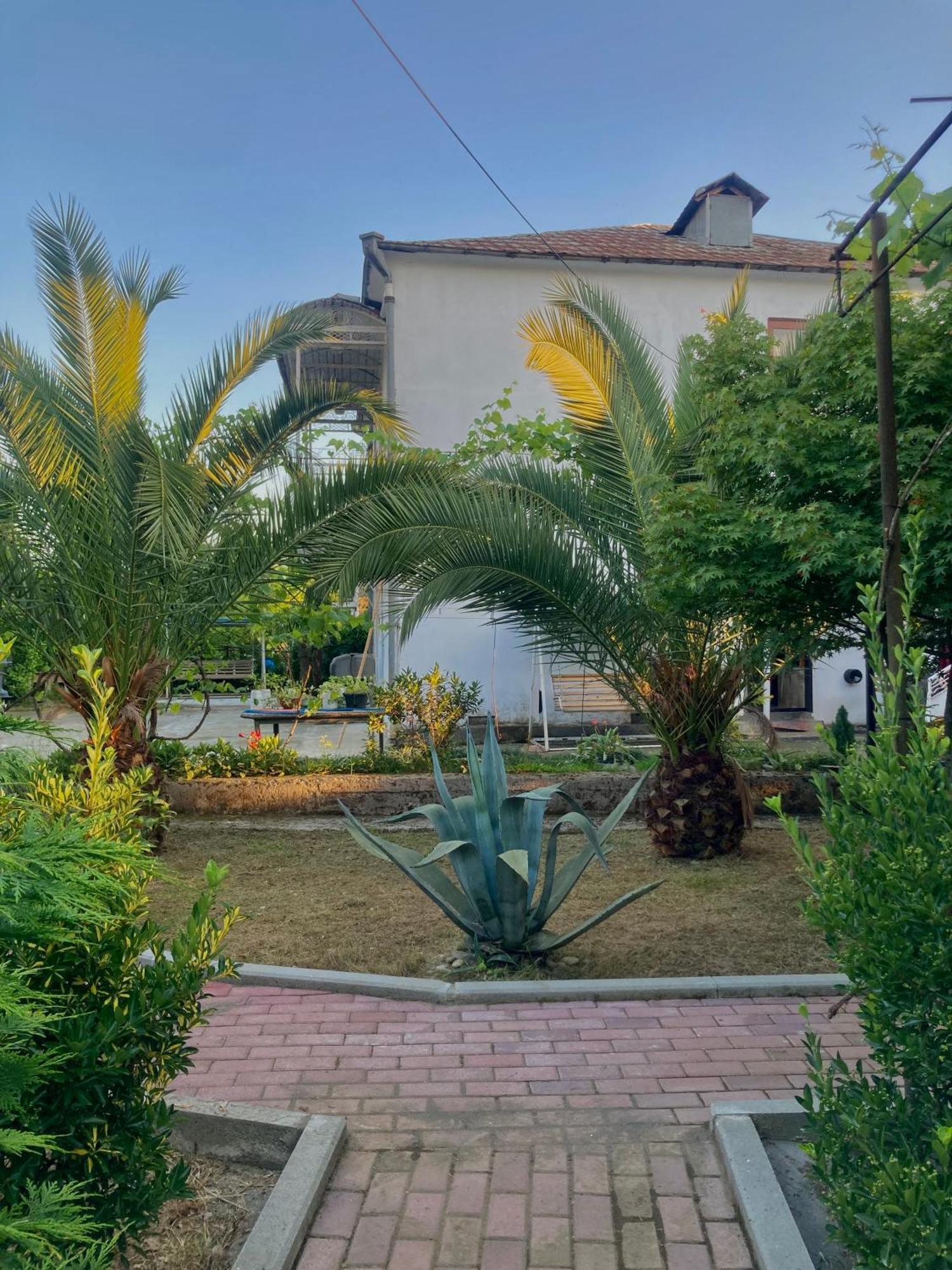 Lukas'S House Ξενοδοχείο Kobuleti Εξωτερικό φωτογραφία